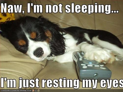 Image result for I`m just resting my eyes gif