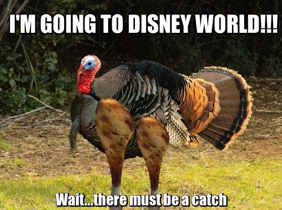 Image result for disney turkey leg meme