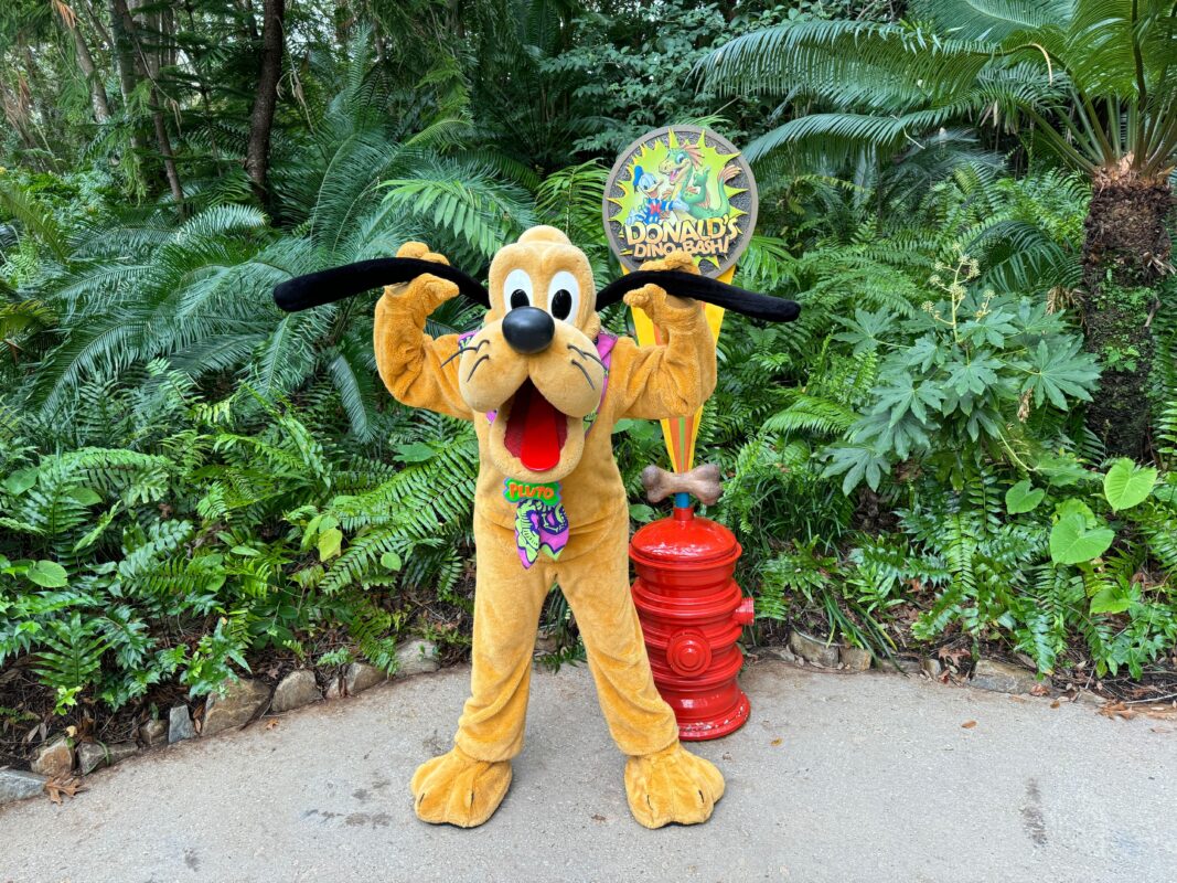 Pluto meet and greet at Donald's Dino-Bash