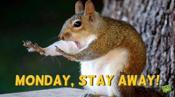 Funny-Sunday-meme-with-cute-squirrel-trying-to-send-Monday-away.jpg